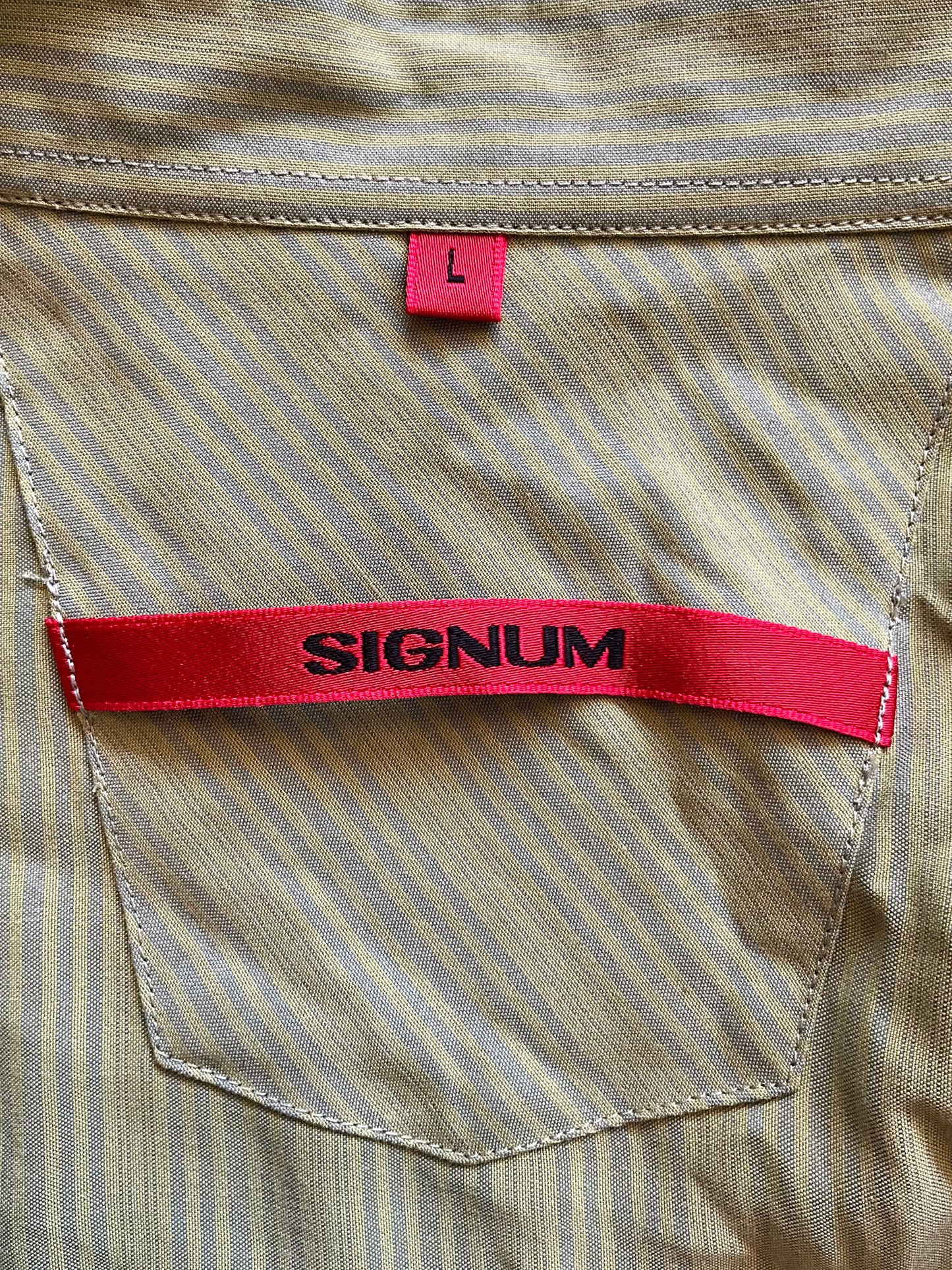 Men's Green and Blue Stripe Signum Long Sleeve Button-Up Shirt, Large