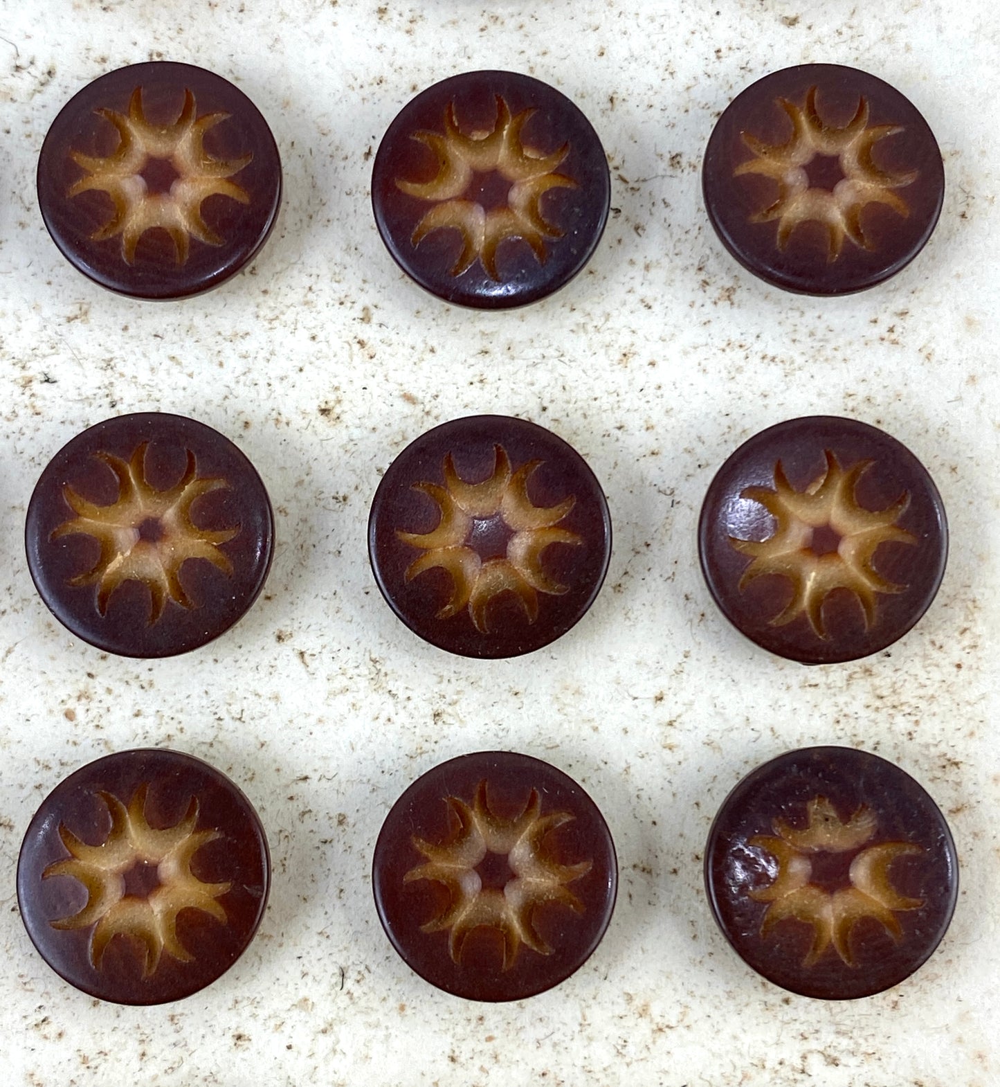 Antique Victorian Brown Carved Vegetable Ivory Shank Buttons x24