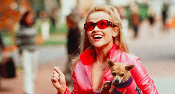 Elle Woods Legally Blonde y2k core 