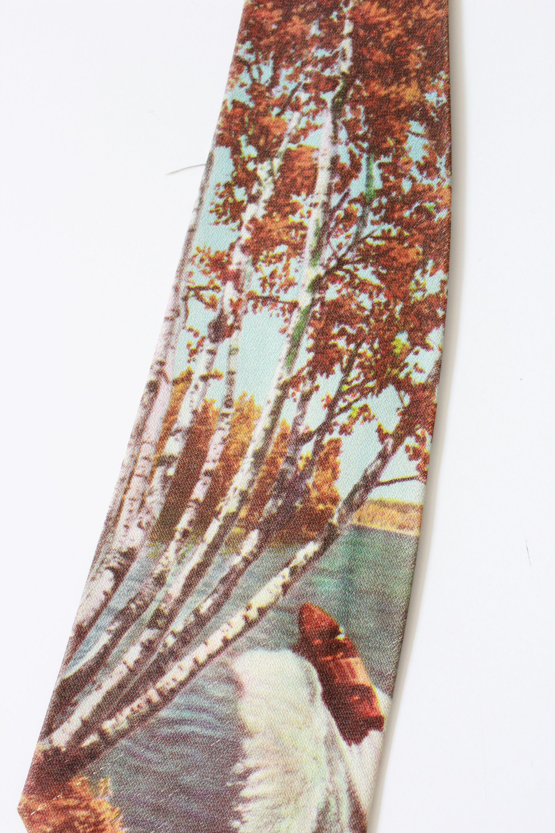 Vintage 1950s Rayon Photo Tie With Speed Boat and Autumn Trees, Mid Century 