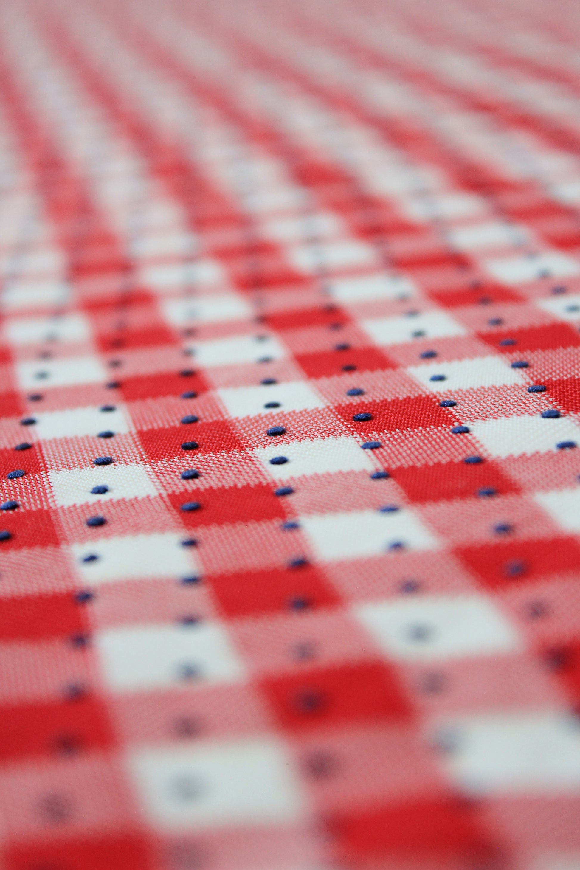 1960s Red And White Checkered Plaid With Blue Polka Dots Nylon Vintage Print Fabric, 3.8 Yards