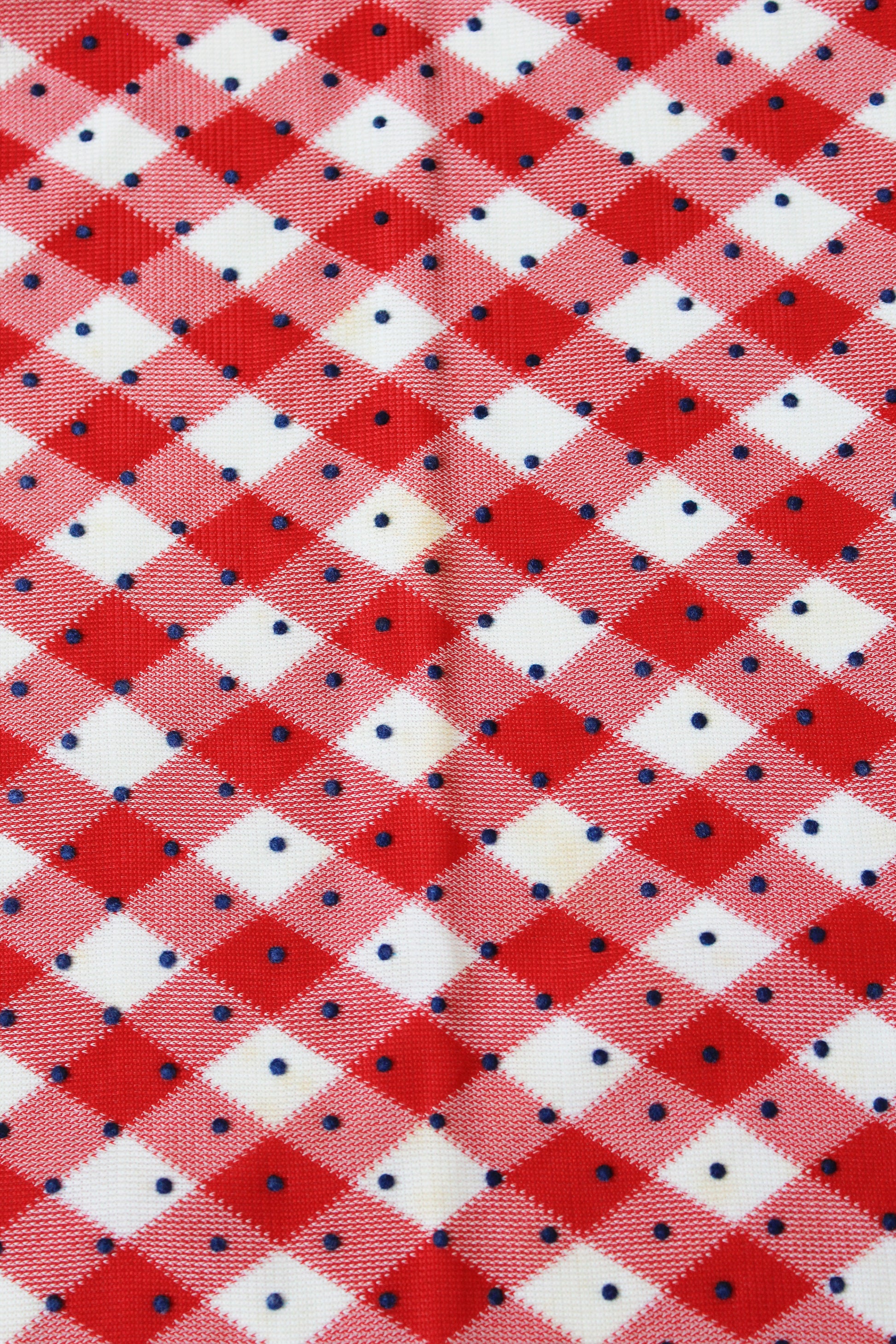 1960s Red And White Checkered Plaid With Blue Polka Dots Nylon Vintage Print Fabric, 3.8 Yards