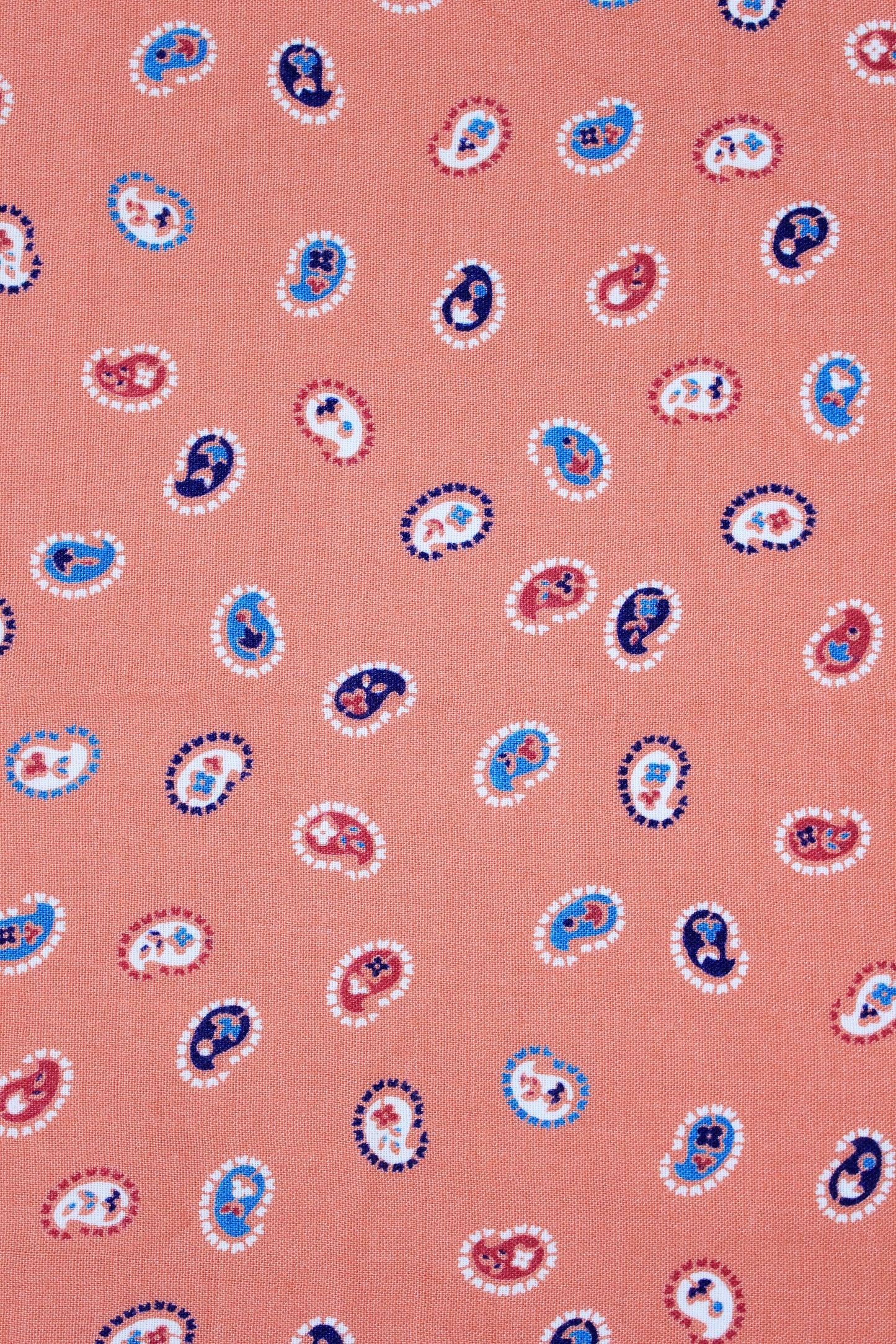 NEEDS MEASUREMENTS 1940s Pink And Blue Paisley Amoeba Shape Rayon Fabric,