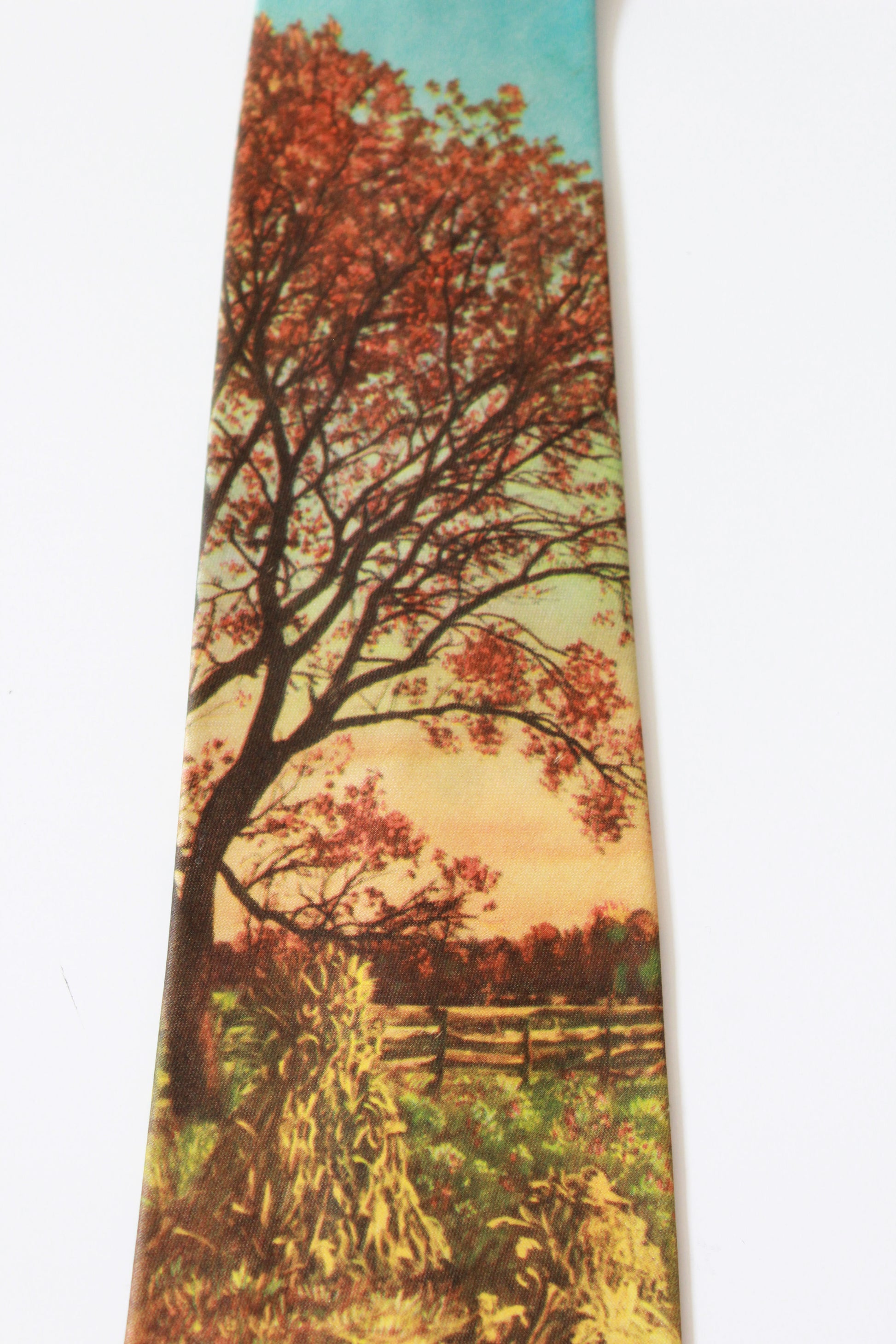 Vintage 1950s Rayon Harvest Photo Print Tie, Mid Century 