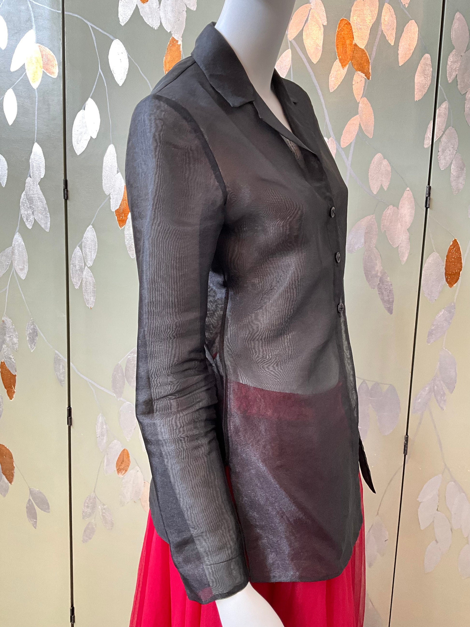 Vintage 1990s Sheer Black Organza Long Sleeve Blouse, S/M