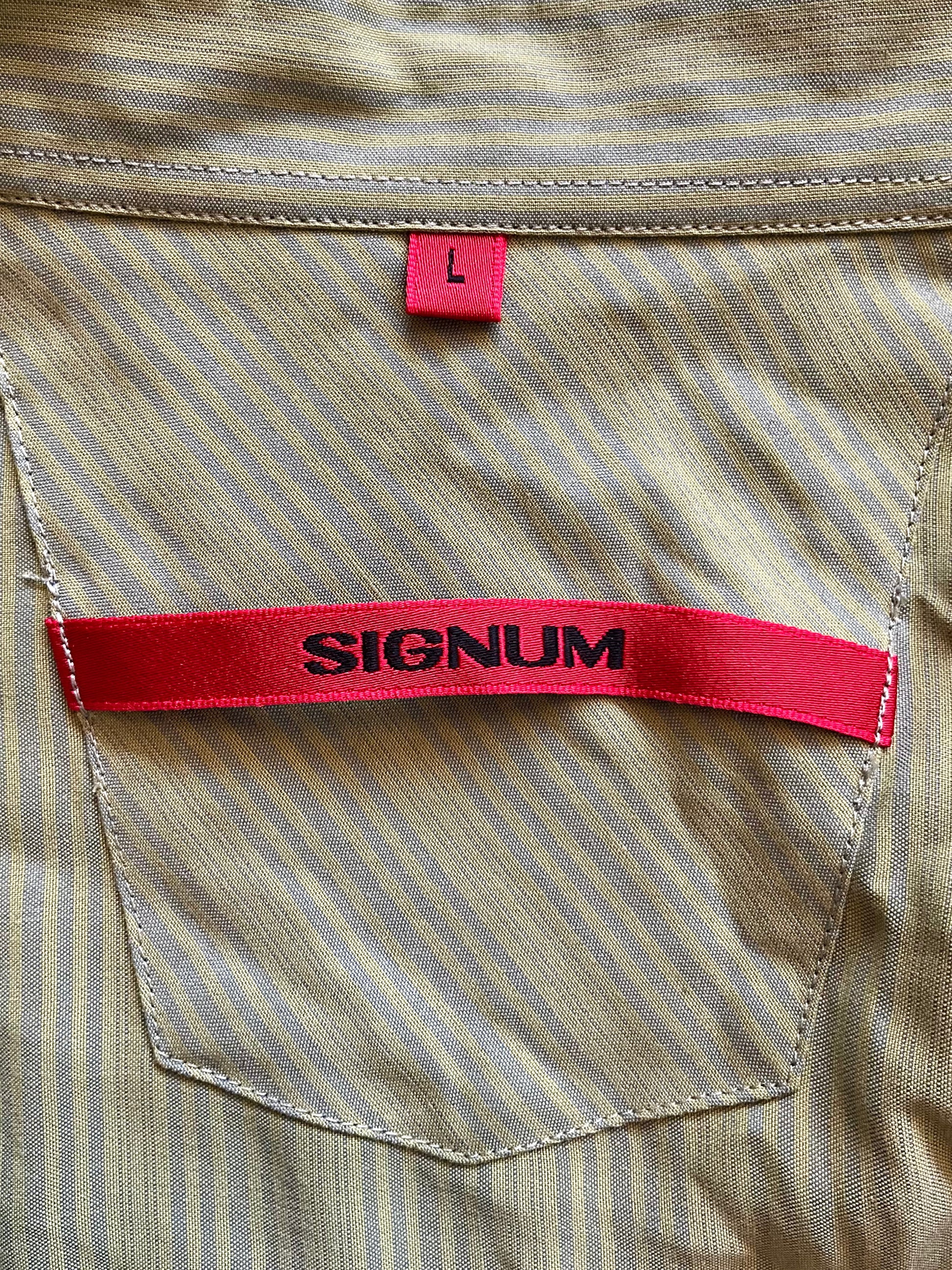 Men's Green and Blue Stripe Signum Long Sleeve Button-Up Shirt, Large