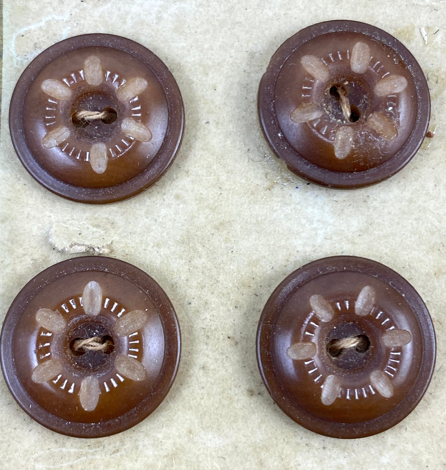 Antique Victorian Brown Carved Vegetable Ivory Shank Buttons x35